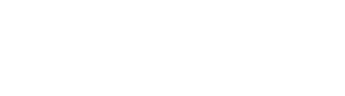 ExpertConnect Litigation Support Logo