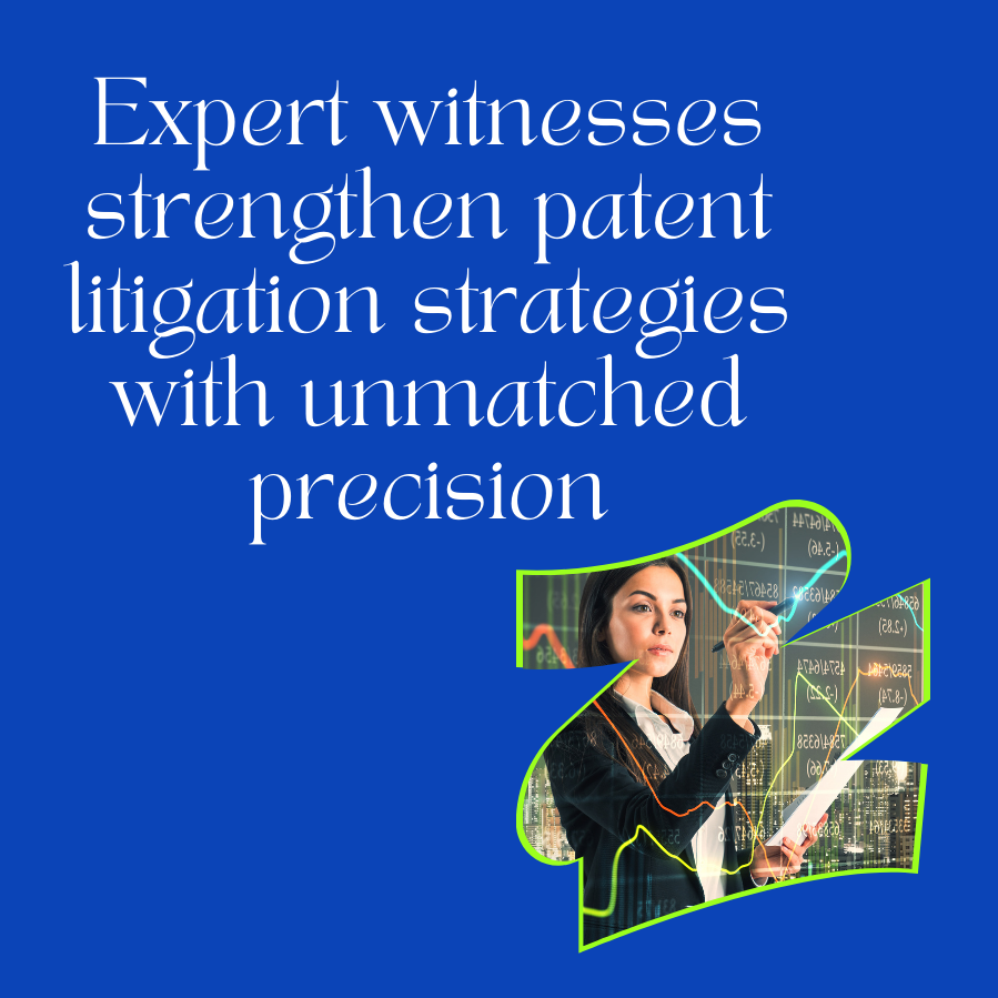Patent Litigation Expert Witness Testimony