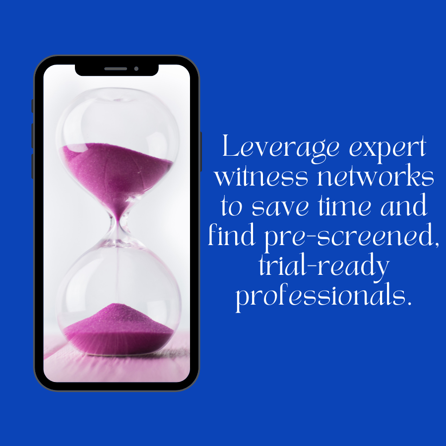 Interviewing expert witness